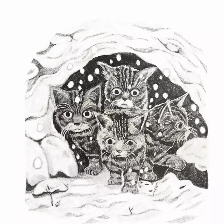 Wildcat Kittens 